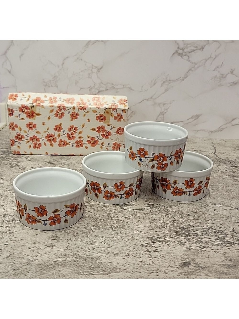 Vintage Saltera Winter Dogwood Japanese Ramekin set new in box